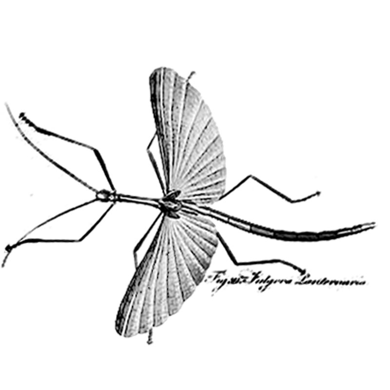 #2341 - Bug - Nature